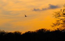 2014-07 SunRise&Sunset