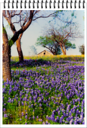 3014-01 2014 Calendars screensaver of all images