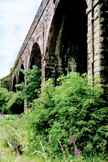 4003-Roman Aqueduct