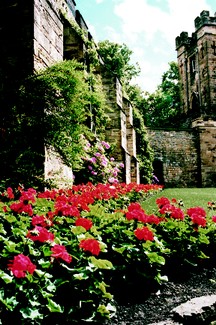 4009-Durham Castle Garden