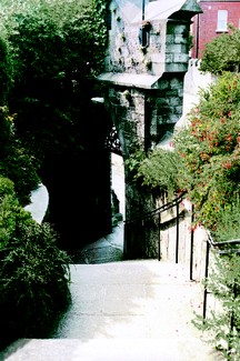 4012-Rear entrance - Saint Patrick's Cathedral