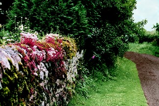 4011-Road To Melmerby